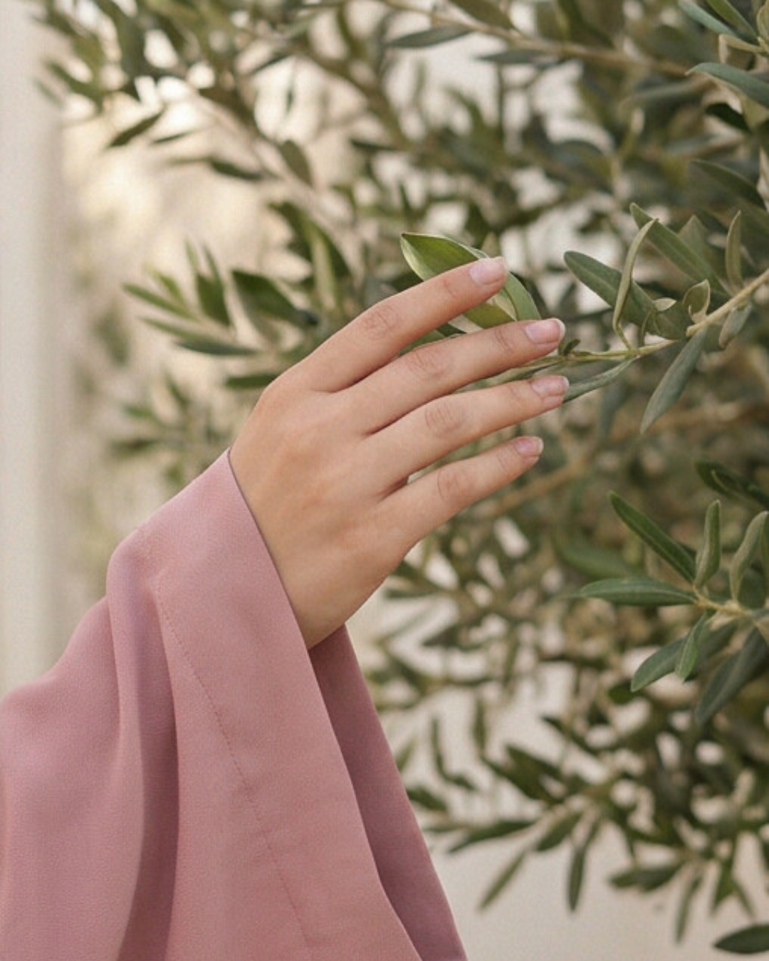 Asma Abaya